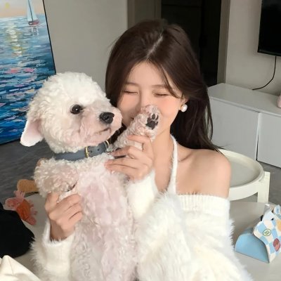 疯狂的契约 在线观看封面
