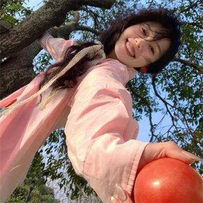 监察局长 在线观看封面