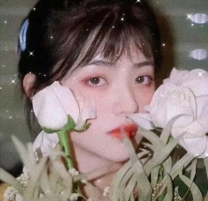 我的狗子 在线观看封面